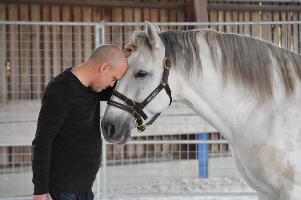 Mit dem Pferd gegen die Dämonen des&nbsp;Krieges